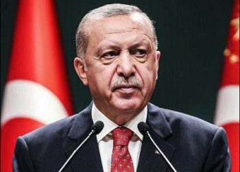 Turkish President Recep Tayyip Erdogan, August 10, 2020. Photo: AP