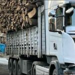 Turkish truck carrying cut trees out of Iraqi Kurdistan Region to Turkey