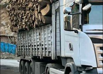Turkish truck carrying cut trees out of Iraqi Kurdistan Region to Turkey