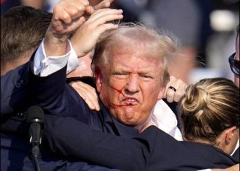 Donald Trump survives assassination attempt at rally