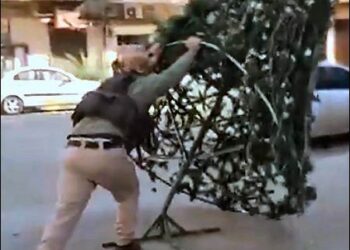 A Turkey-backed Syrian Islamic jihadi militant destroys a Christmas tree on a street in Aleppo