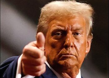 U.S. President-elect Donald Trump, 2024. Photo: Reuters