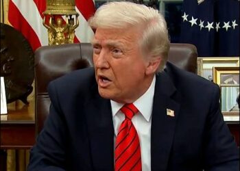 US President Donald Trump, February 10, 2025. Photo: Screengrab/Reuters video