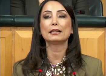 Turkey's pro-Kurdish DEM Party co-chair Tülay Hatimoğulları Oruç, April 15, 2025. Photo: Screengrab/video/DEM Party/X