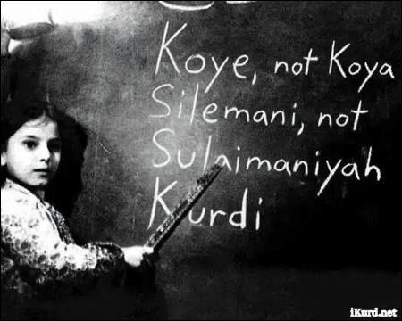 The Introduction of a Standard Kurdish