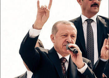 Turkish President Recep Tayyip Erdogan salutes crowd with nationalist Grey Wolf sign