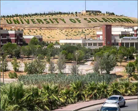 Sulaimani university earns Guinness record for longest tree sentence