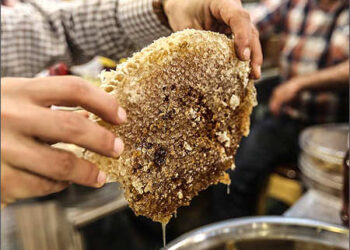 Kurdish mountain honey Sulaimani market food May 2017
