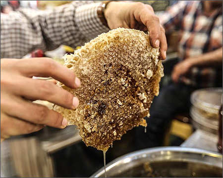 Honey production in Iraqi Kurdistan surpasses 1,000 tons