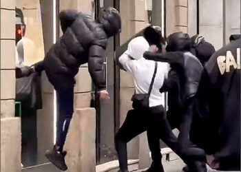 Muslims Africans responsible riots vandalism looting France Oct 2026
