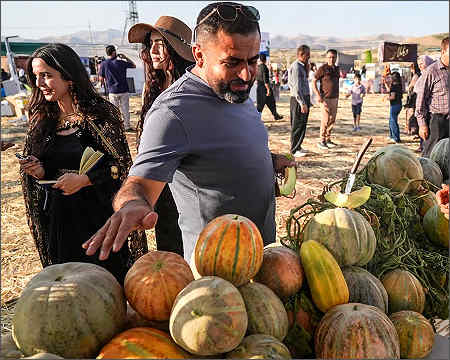 Kurdistans Bizarre Festivals, No Bread No Jobs No Pay