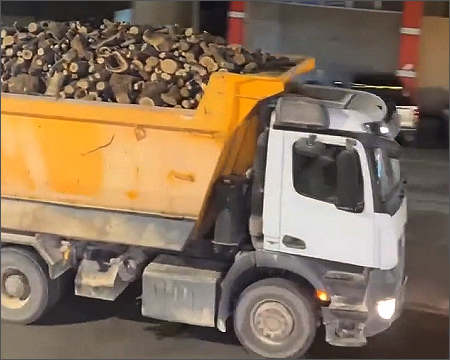 Turkey illegal logging trees Iraqi Kurdistan Sep 2026